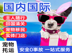 阿克苏红旗坡航空快递国际宠物托运 【国